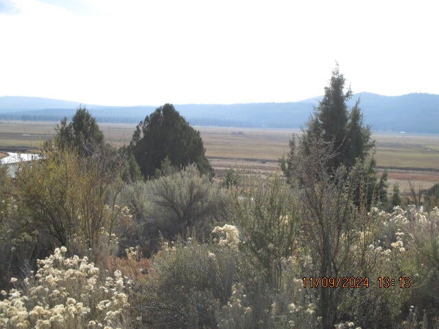 Drews Road, Unit 25 Chiloquin, OR 97624 - Photo 5 of 10 IMG_0745