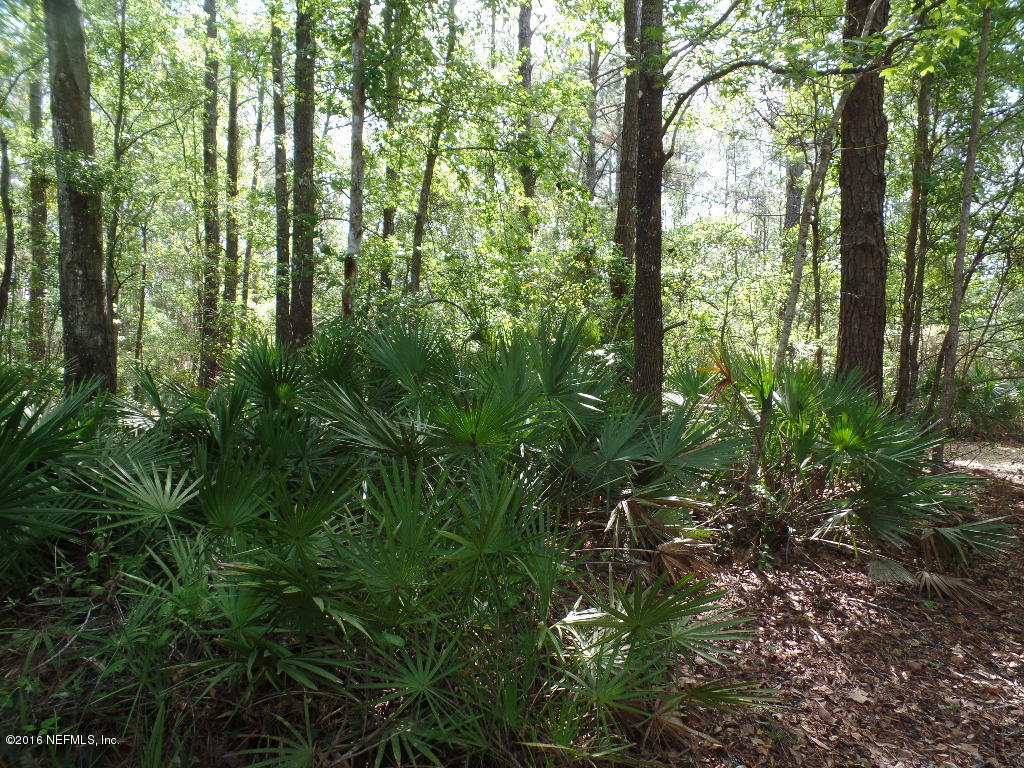 102 Canal Road Satsuma, FL 32189 - Photo 3 of 31 SAM_7362