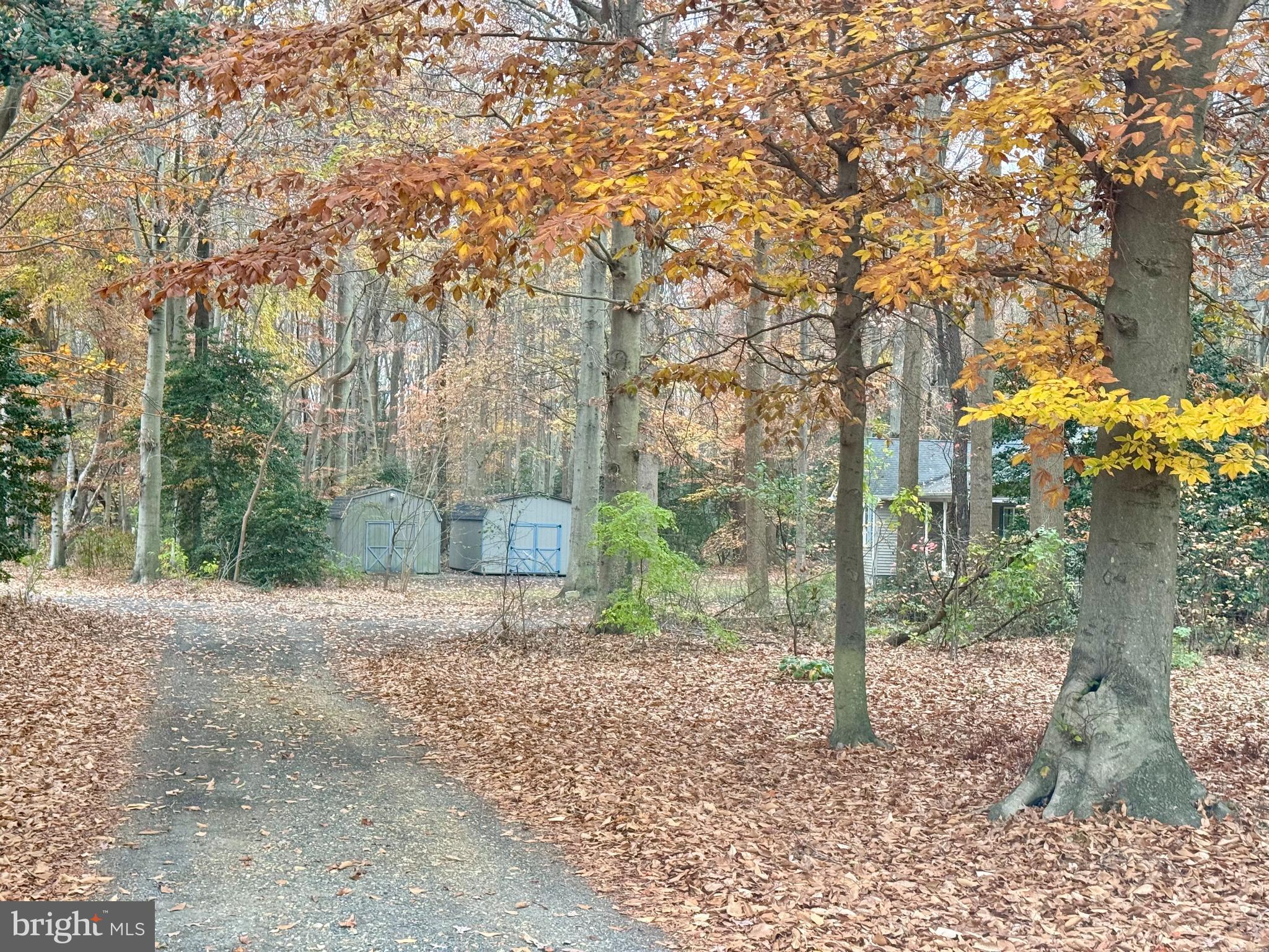 6608 Harmony Road Preston, MD 21655 - Photo 2 of 32