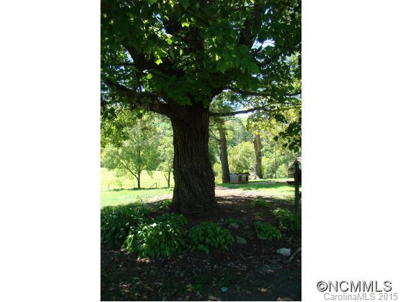 584 Wright Road Marion, NC 28752 - Photo 11 of 14 Gallery Image 11