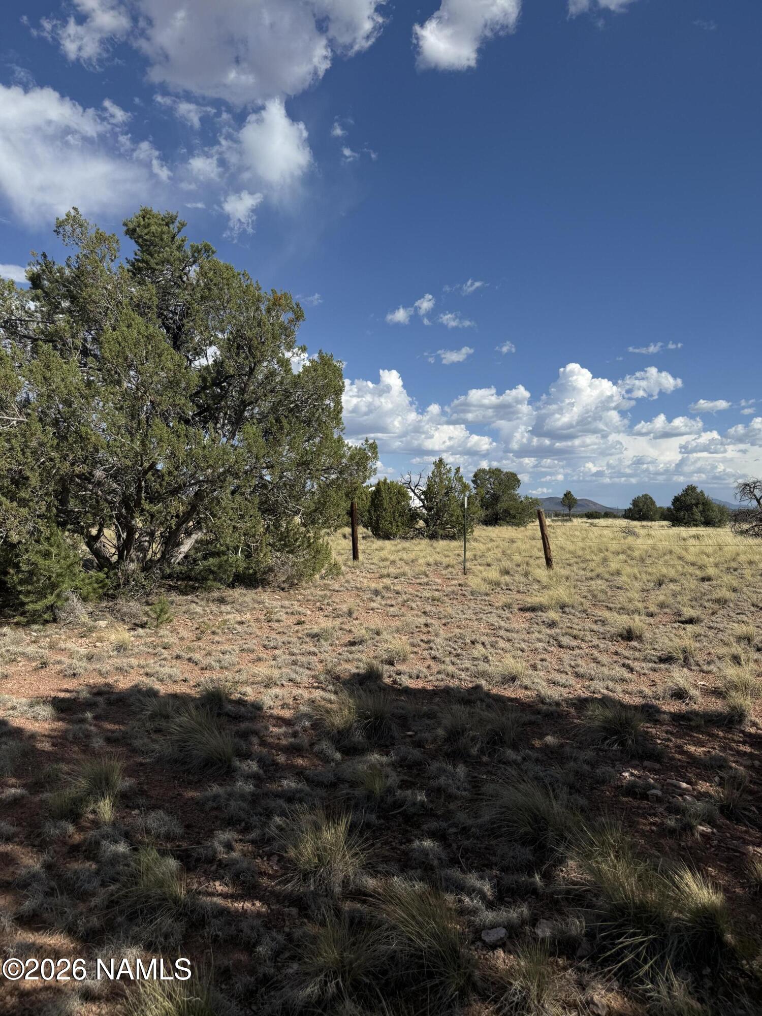 3028 South Spruce Road Williams, AZ 86046 - Photo 9 of 17 IMG_4584