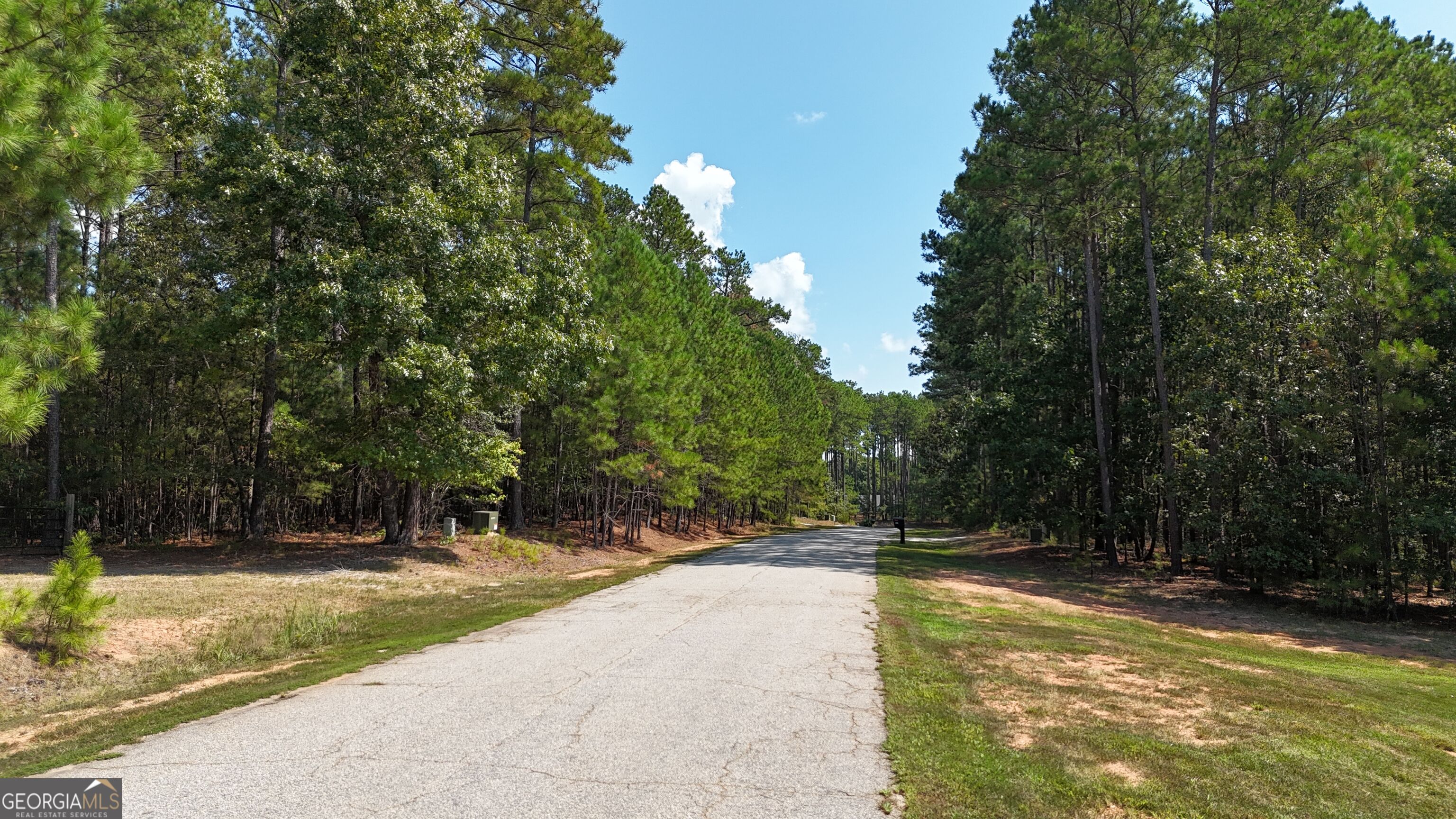 0 Bluff Road, Unit LOT 21 Elberton, GA 30635 - Photo 4 of 18 Gallery Image 4