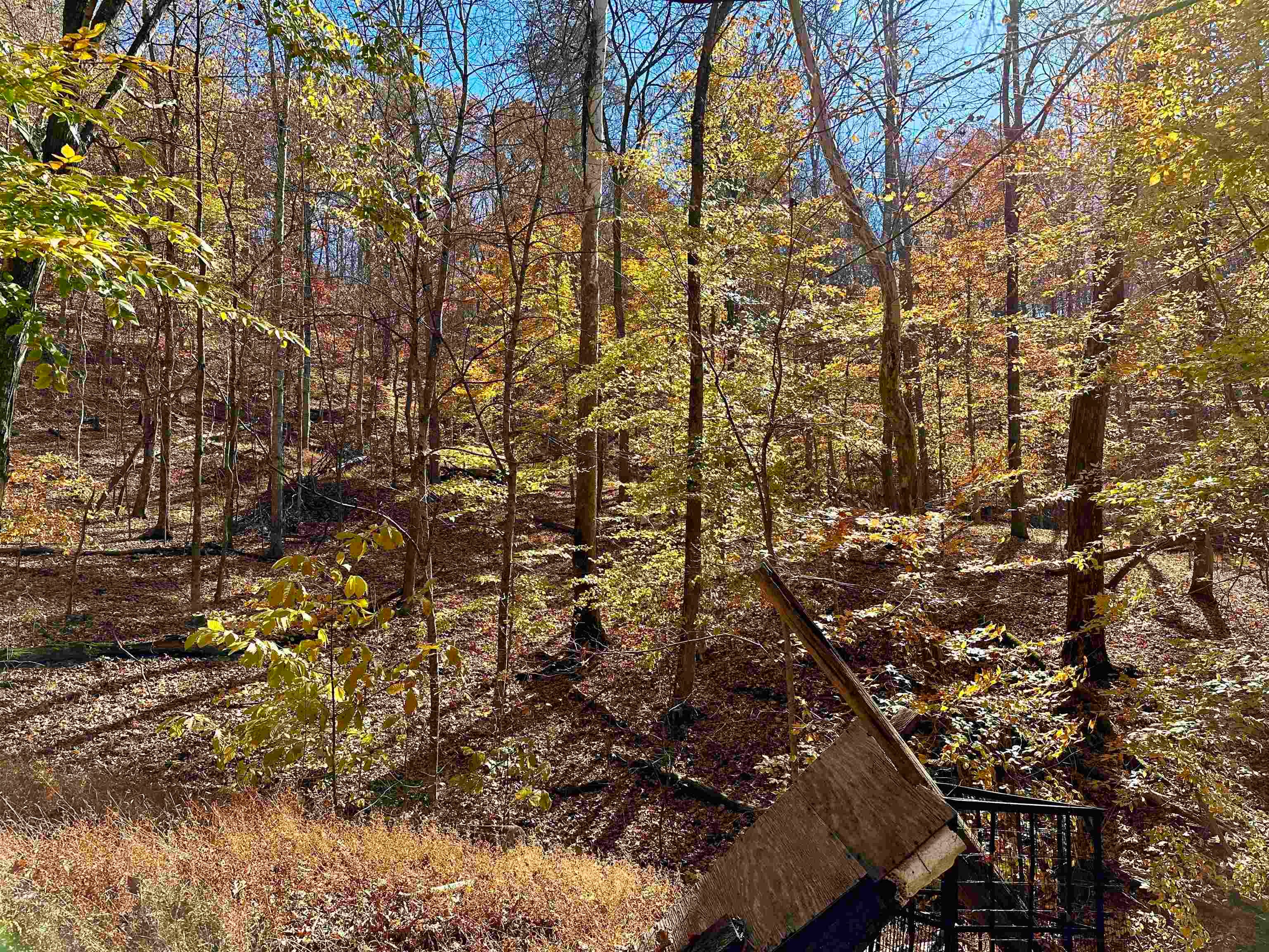 847 Miller's Fork Road Wayne, WV 25570 - Photo 24 of 28 Gallery Image 24