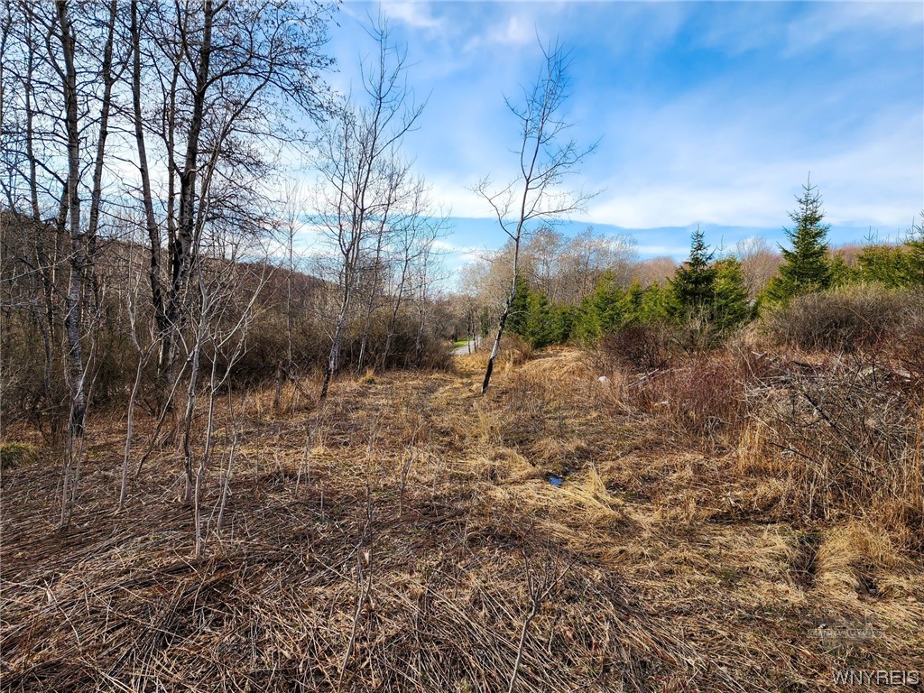 0 Quigg Hollow Road Andover, NY 14806 - Photo 18 of 19
