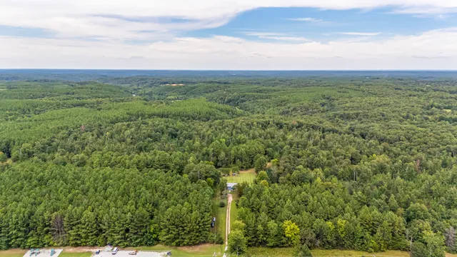 a view of a city with lush green forest