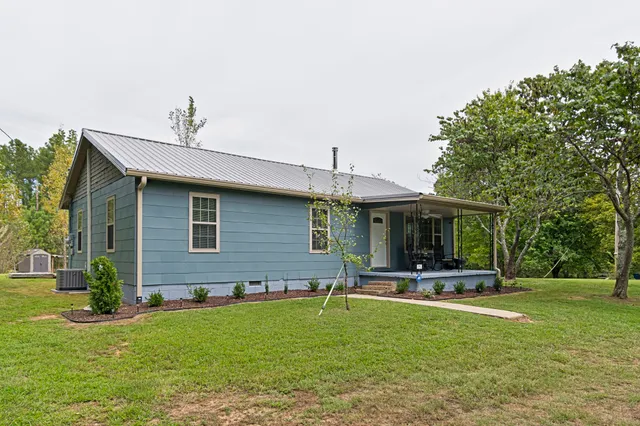 a view of a forest with trees in the background
