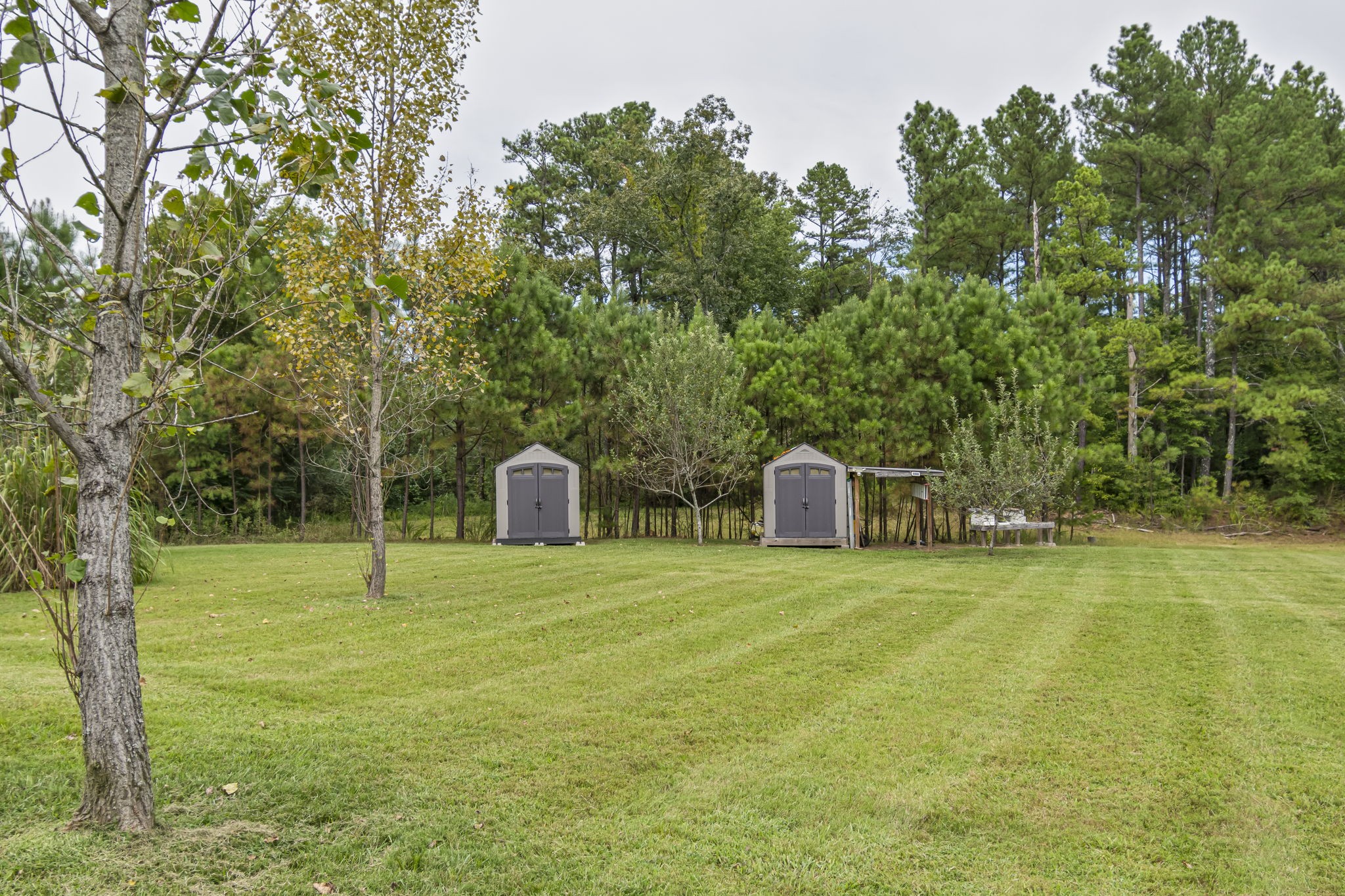 1189 West Main Street Hohenwald, TN 38462 - Photo 27 of 59