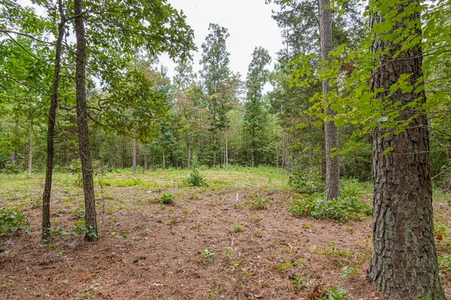 a view of outdoor space and trees