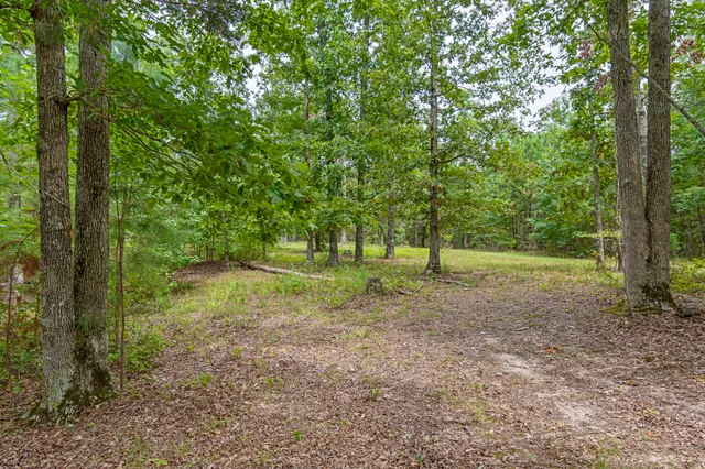 a view of a yard with trees in front of it