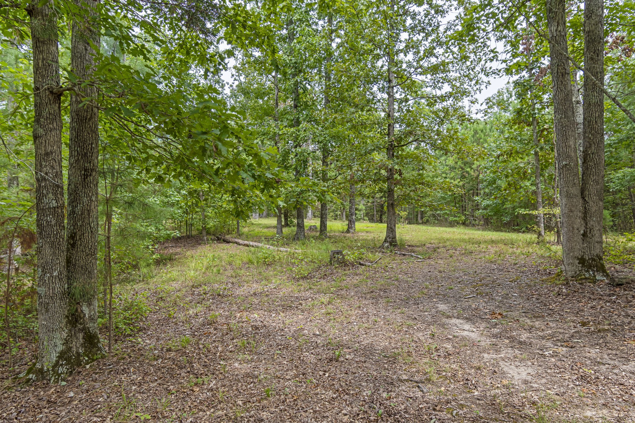 1189 West Main Street Hohenwald, TN 38462 - Photo 30 of 59