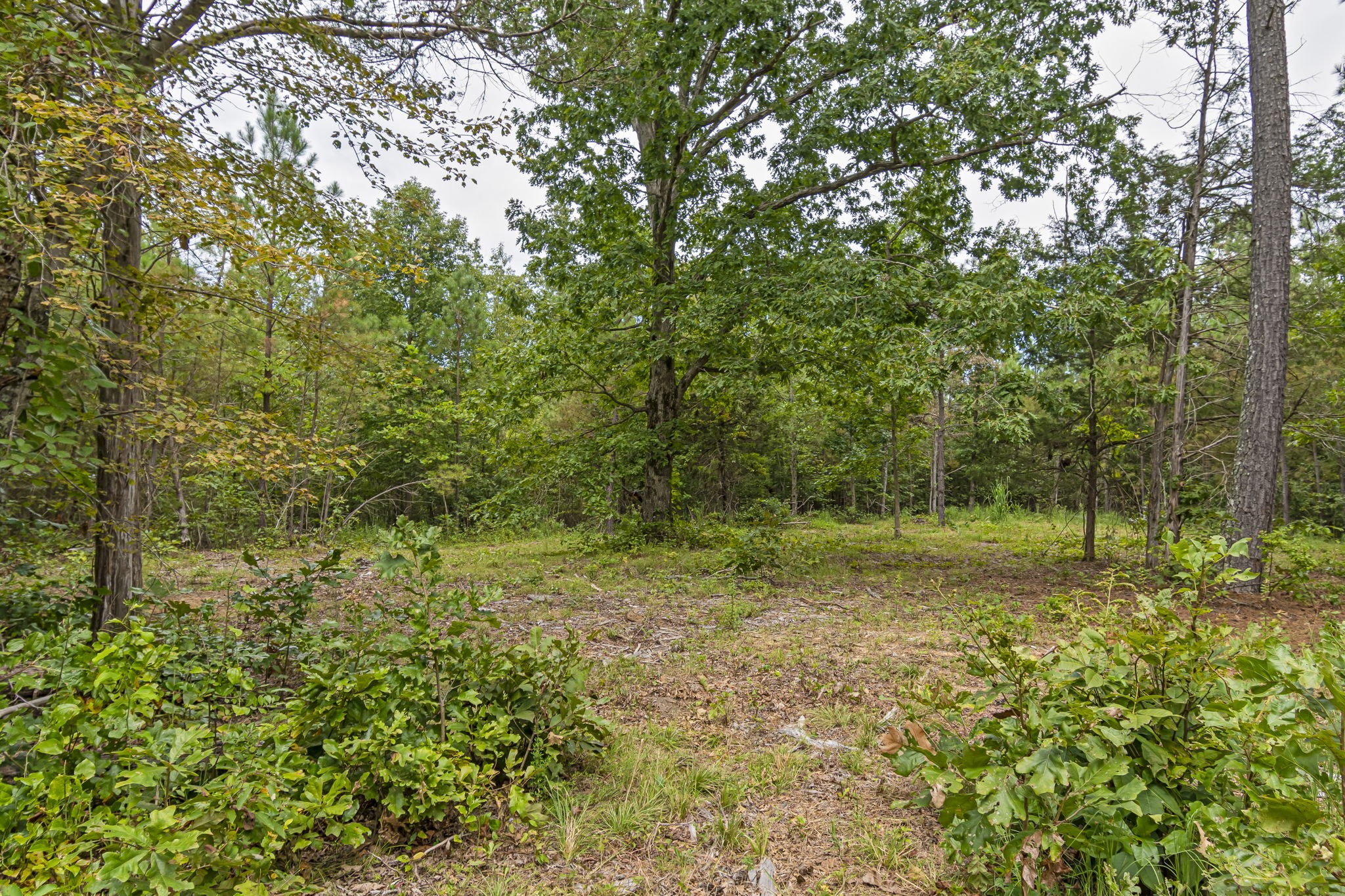 1189 West Main Street Hohenwald, TN 38462 - Photo 31 of 59