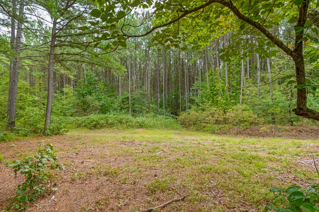 a view of outdoor space with trees