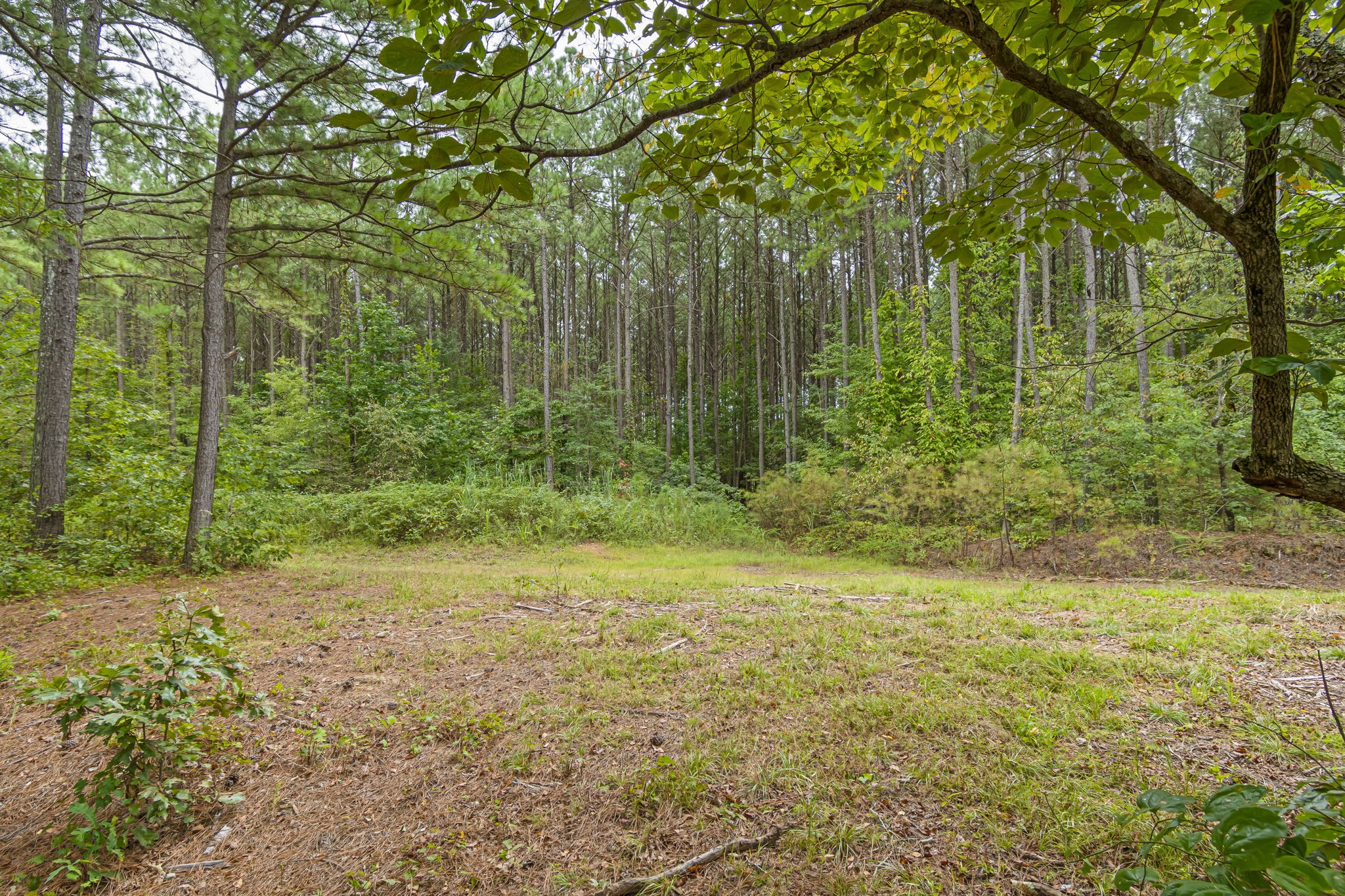 1189 West Main Street Hohenwald, TN 38462 - Photo 33 of 59