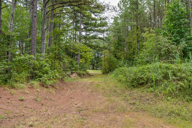 a view of a field with trees in the background