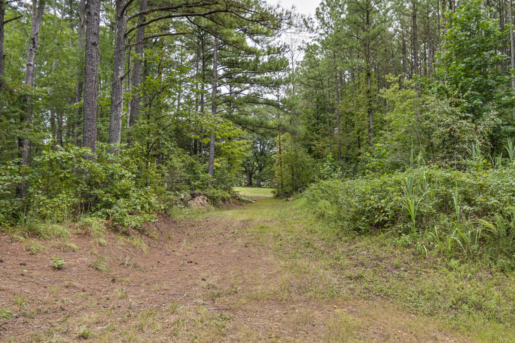 1189 West Main Street Hohenwald, TN 38462 - Photo 34 of 59