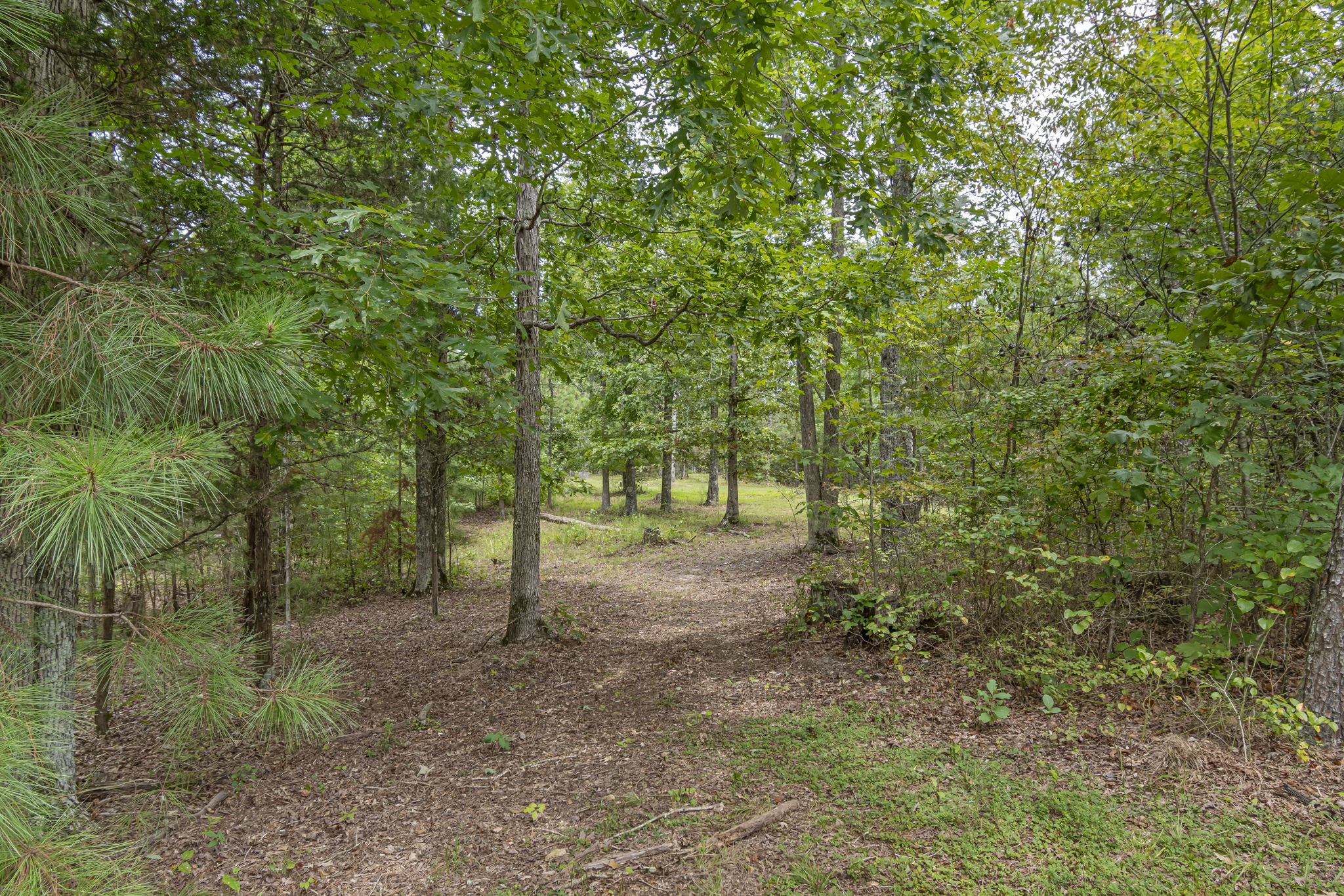 1189 West Main Street Hohenwald, TN 38462 - Photo 36 of 59