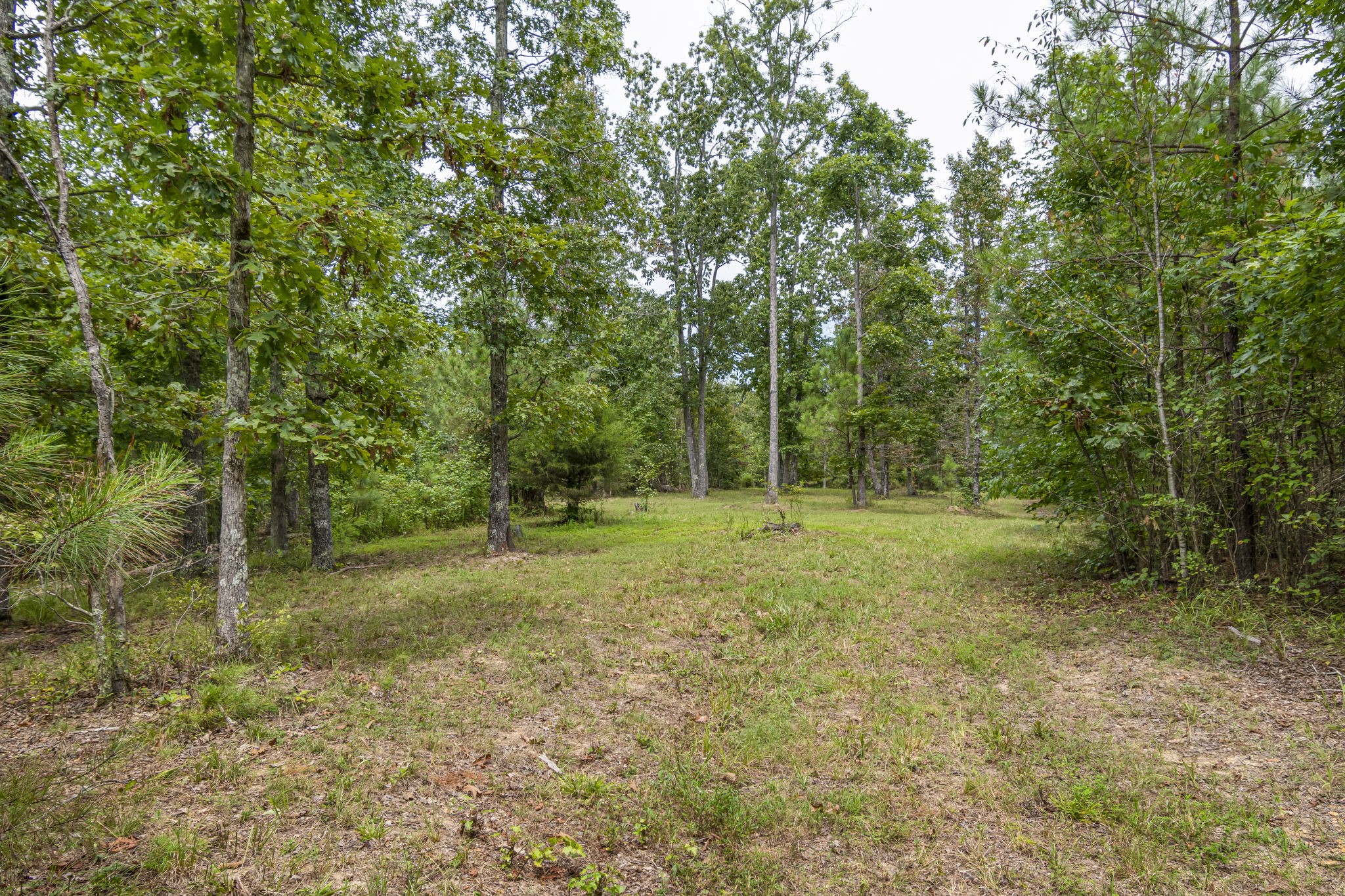 1189 West Main Street Hohenwald, TN 38462 - Photo 37 of 59