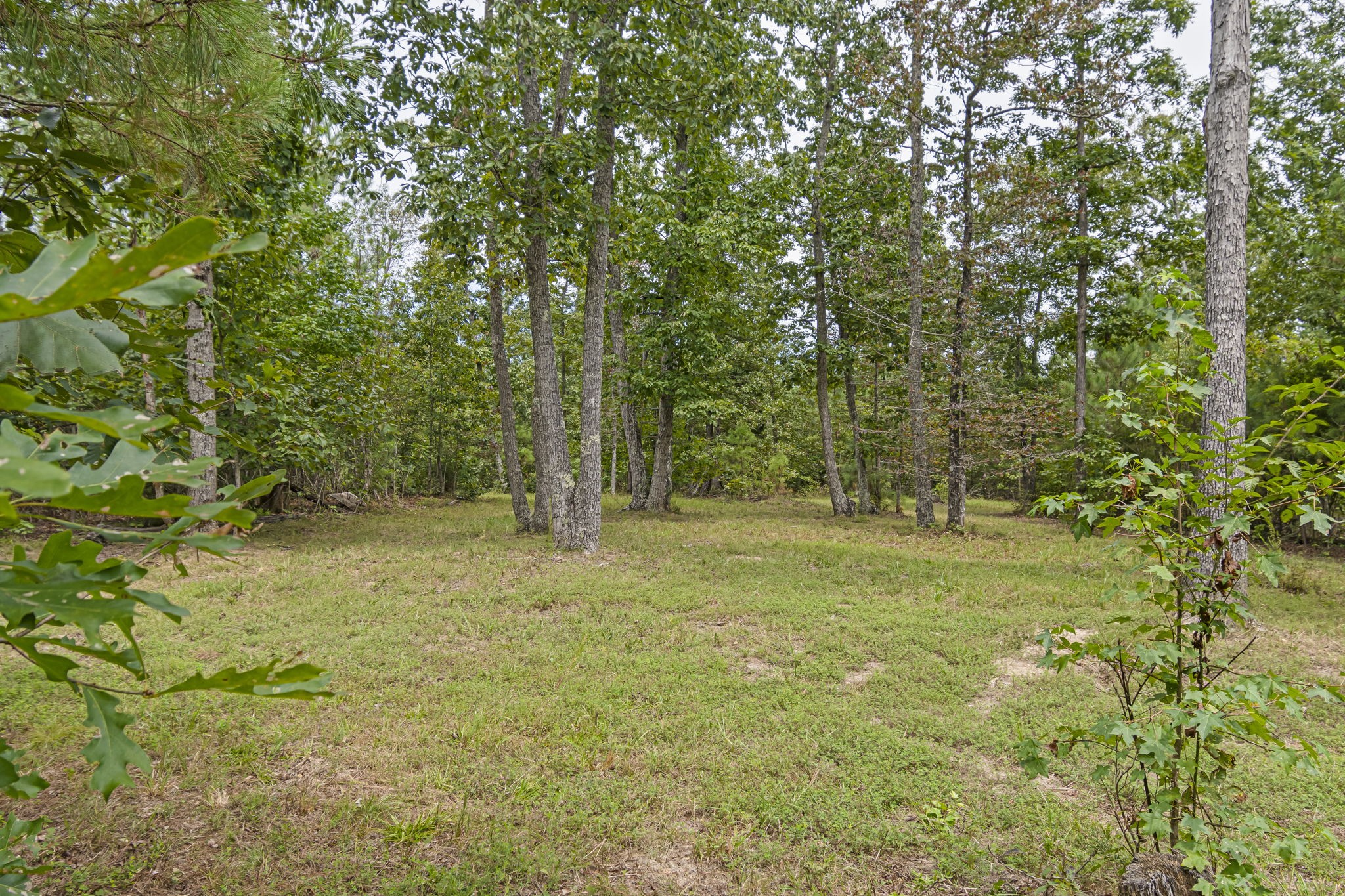 1189 West Main Street Hohenwald, TN 38462 - Photo 38 of 59