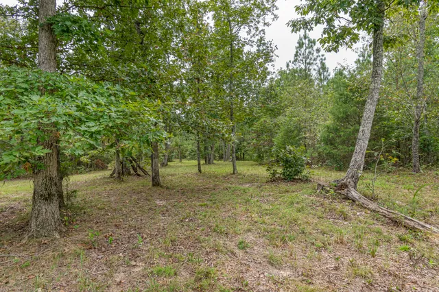 a backyard of a house with lots of green space and a fountain