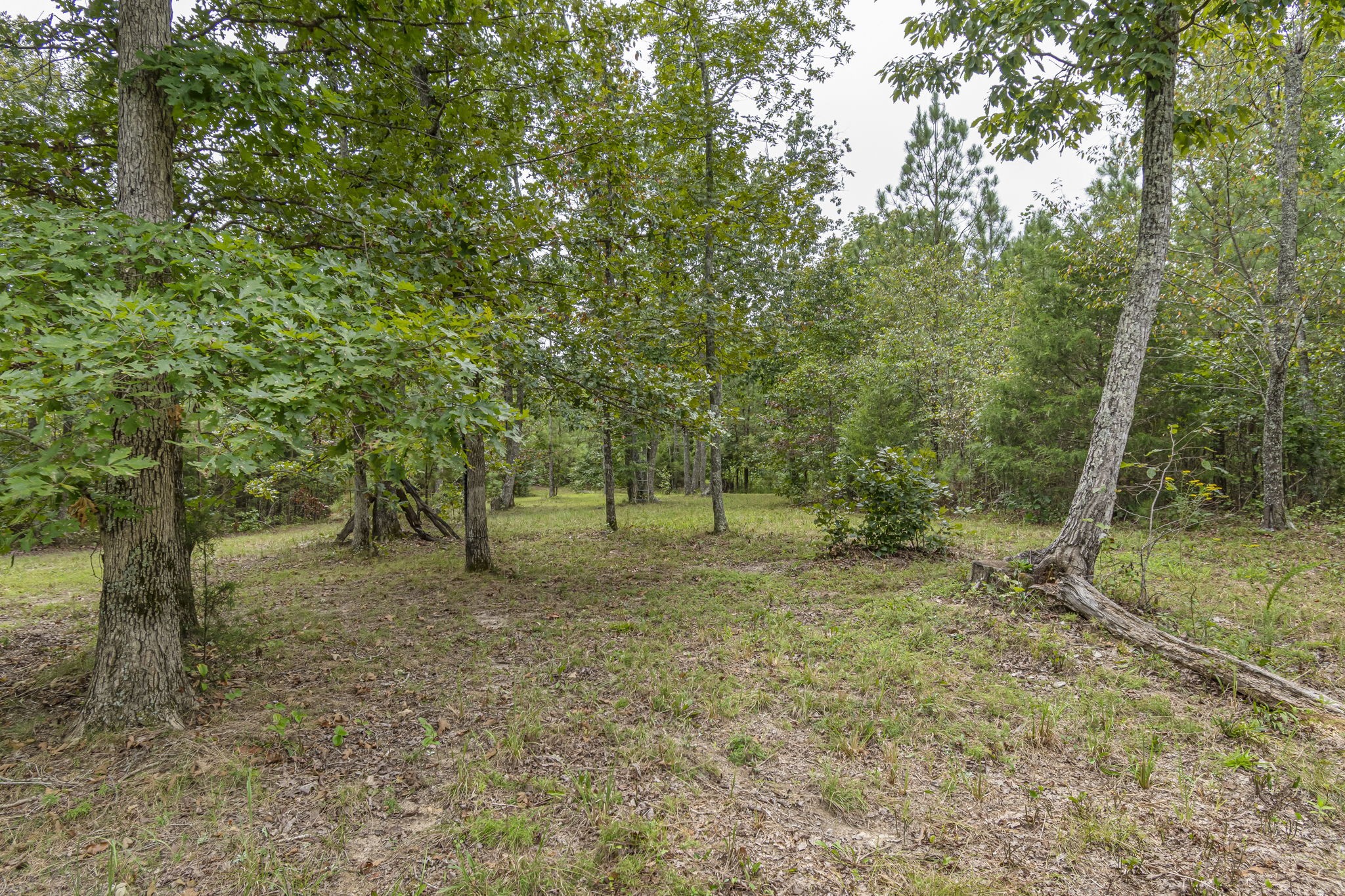 1189 West Main Street Hohenwald, TN 38462 - Photo 39 of 59