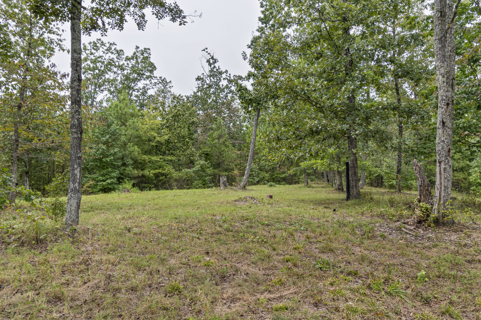 1189 West Main Street Hohenwald, TN 38462 - Photo 40 of 59