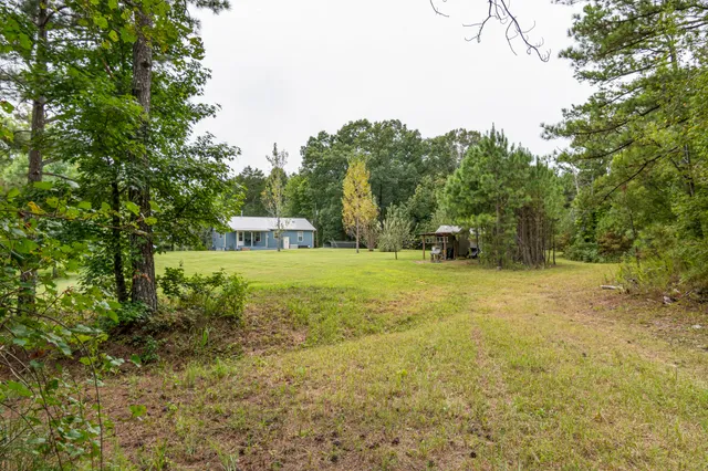 a view of outdoor space and green space