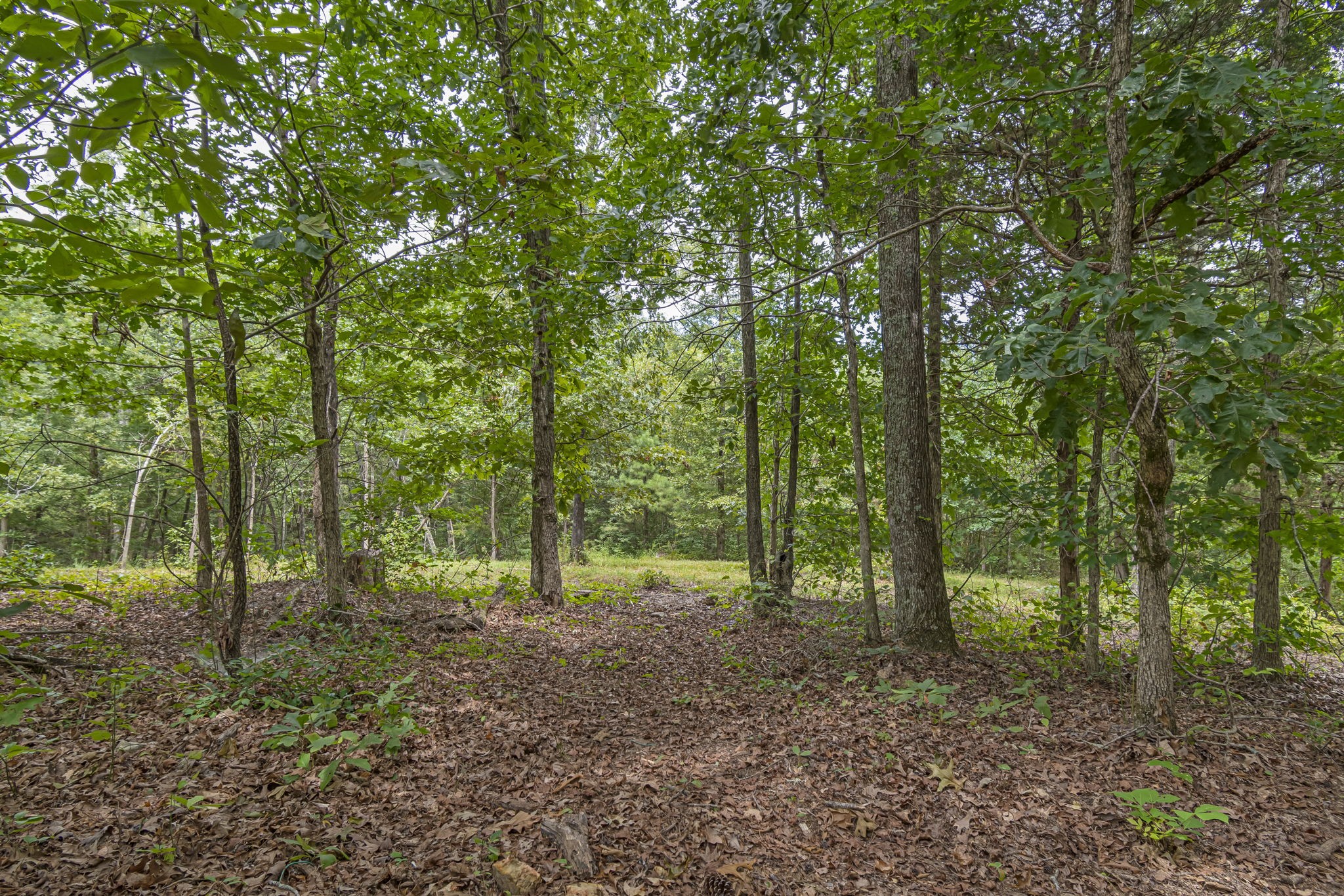 1189 West Main Street Hohenwald, TN 38462 - Photo 46 of 59