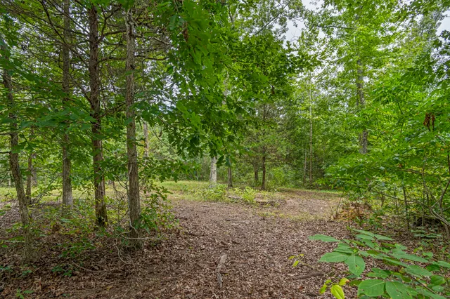 an aerial view of residential house and outdoor space