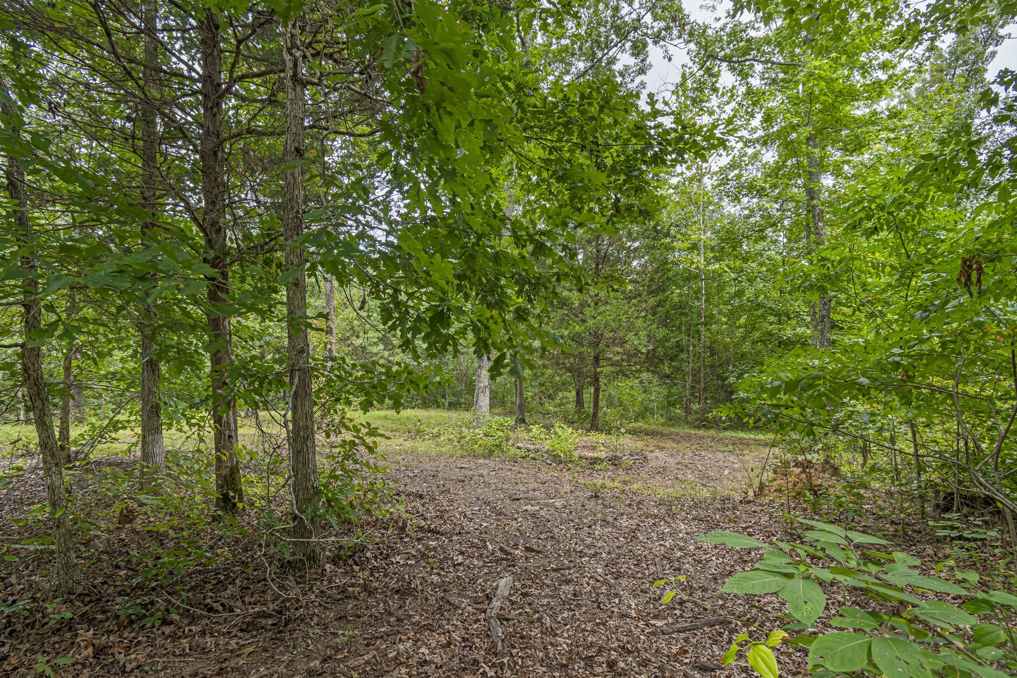 1189 West Main Street Hohenwald, TN 38462 - Photo 47 of 59