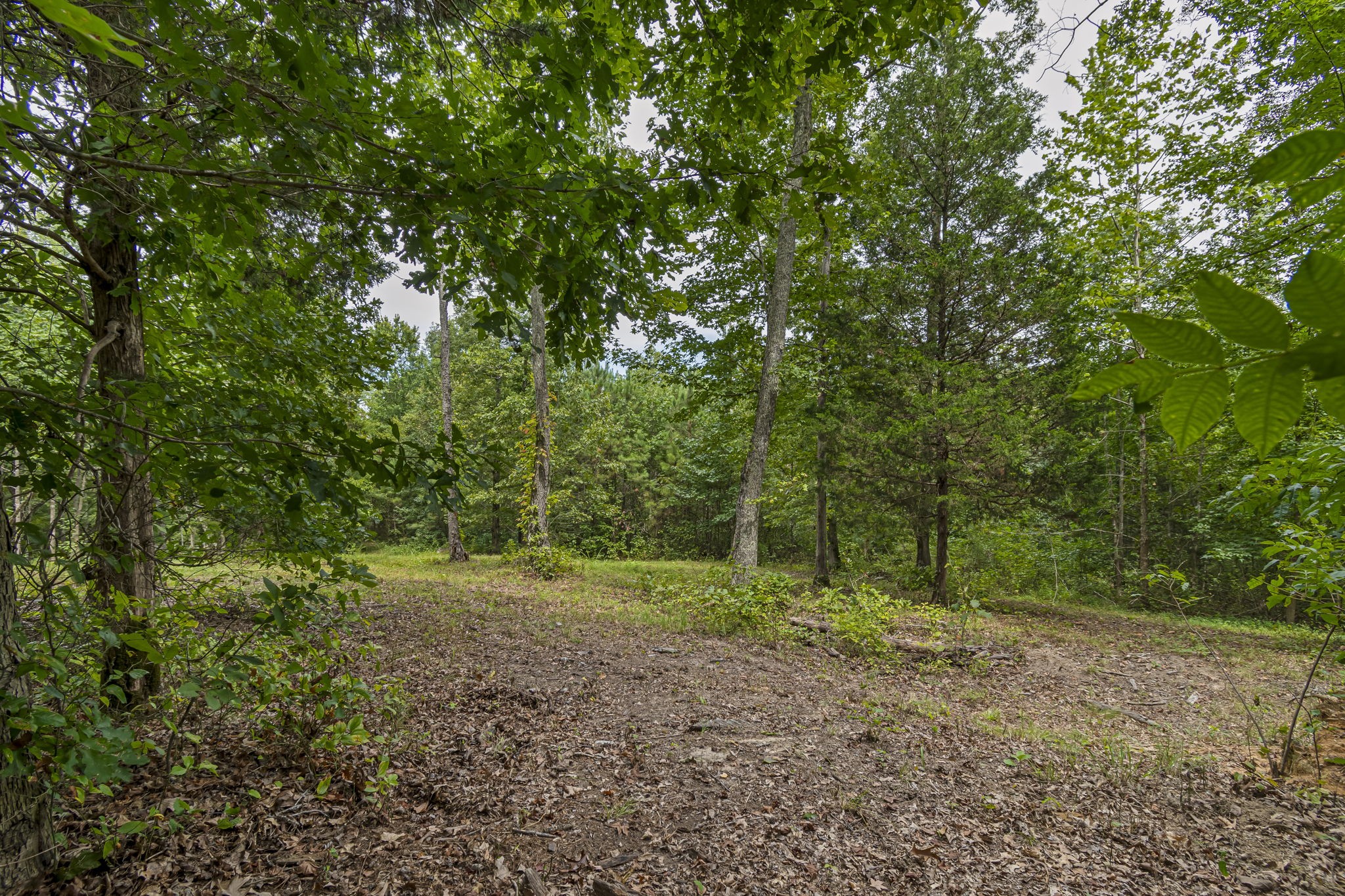 1189 West Main Street Hohenwald, TN 38462 - Photo 48 of 59