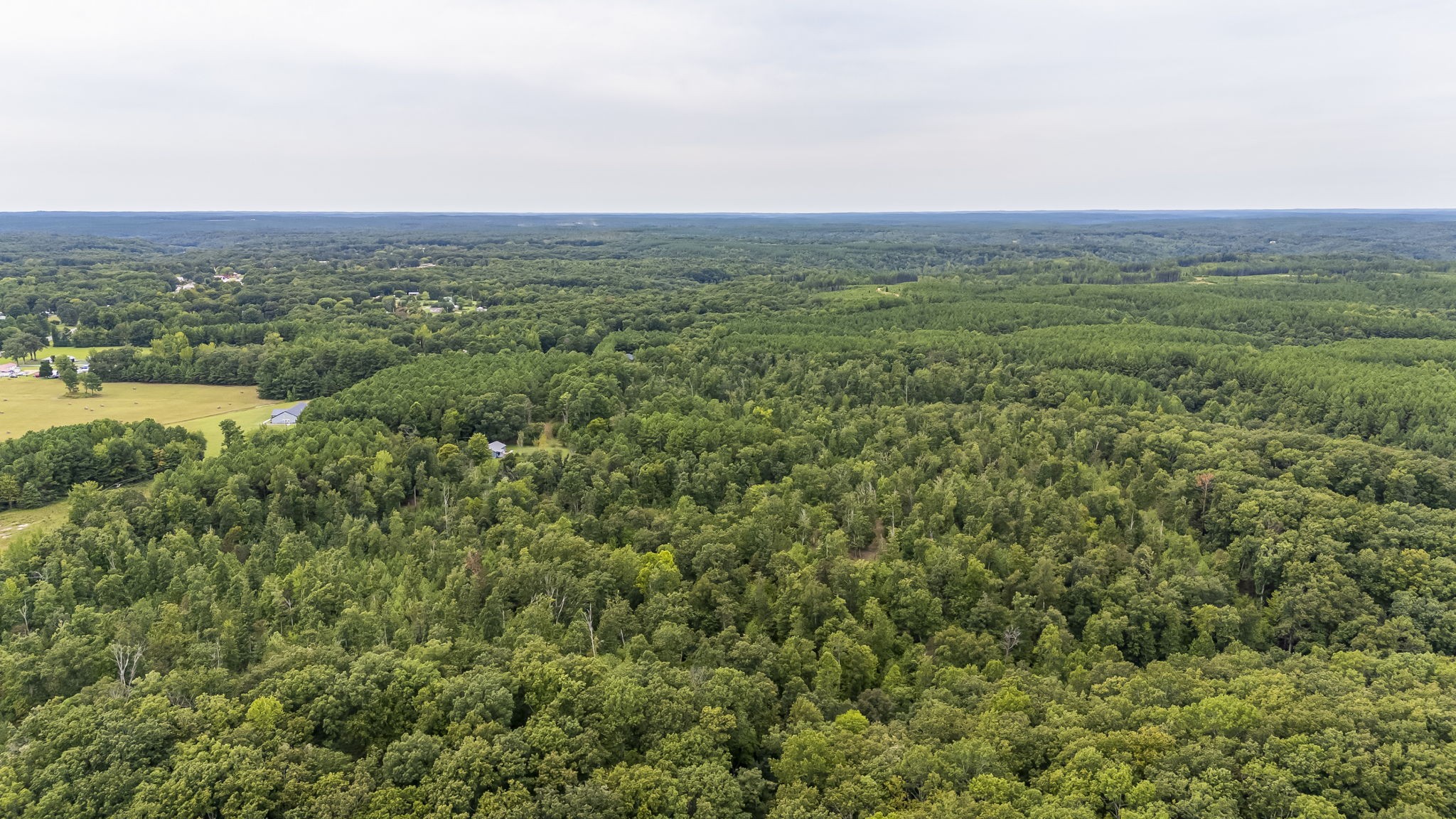 1189 West Main Street Hohenwald, TN 38462 - Photo 55 of 59