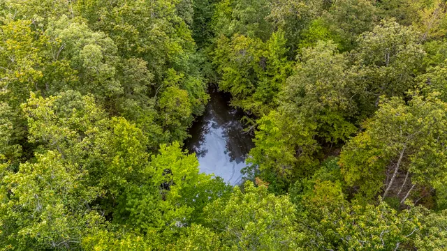 $449,000 | 1189 West Main Street, Hohenwald, TN 38462