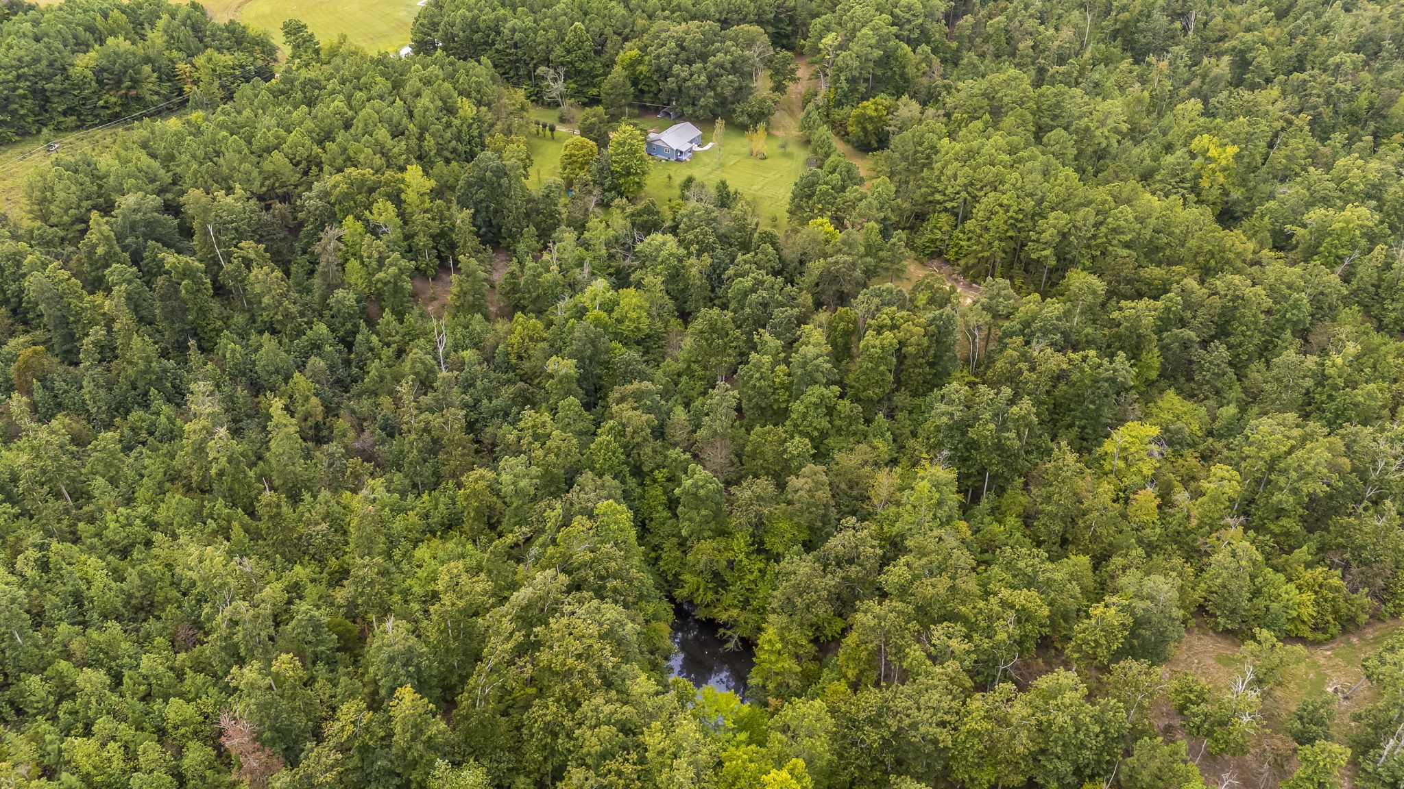 1189 West Main Street Hohenwald, TN 38462 - Photo 57 of 59