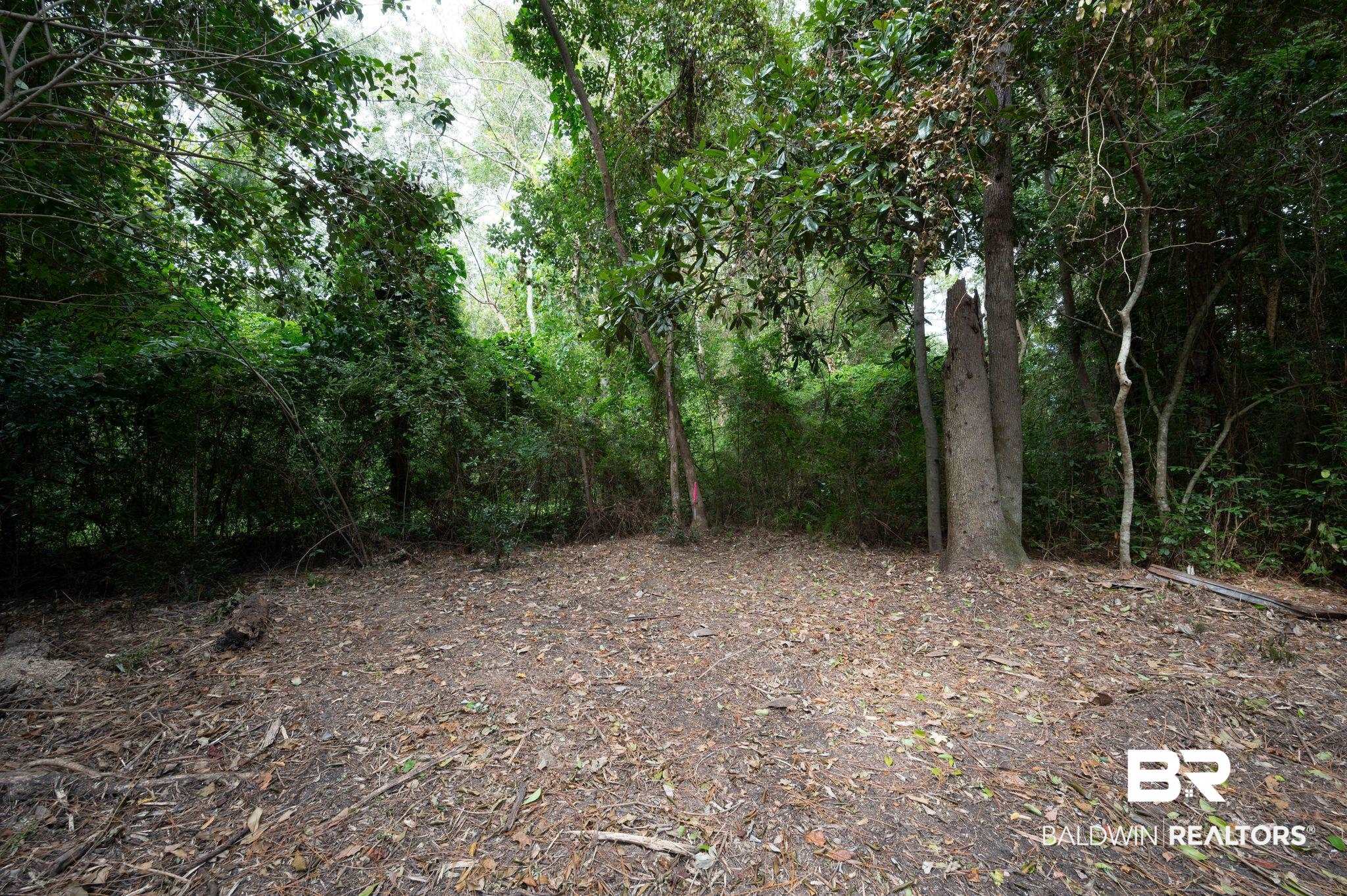 2318 Burgett Road Mobile, AL 36605 - Photo 11 of 26 View of nature
