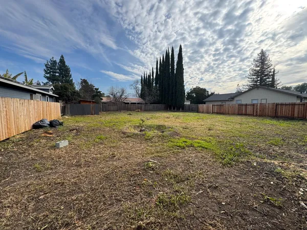 a view of a field with a tree in front of it