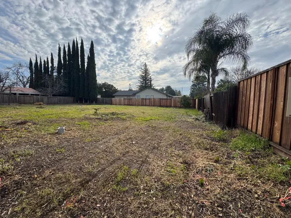a view of a backyard with large trees