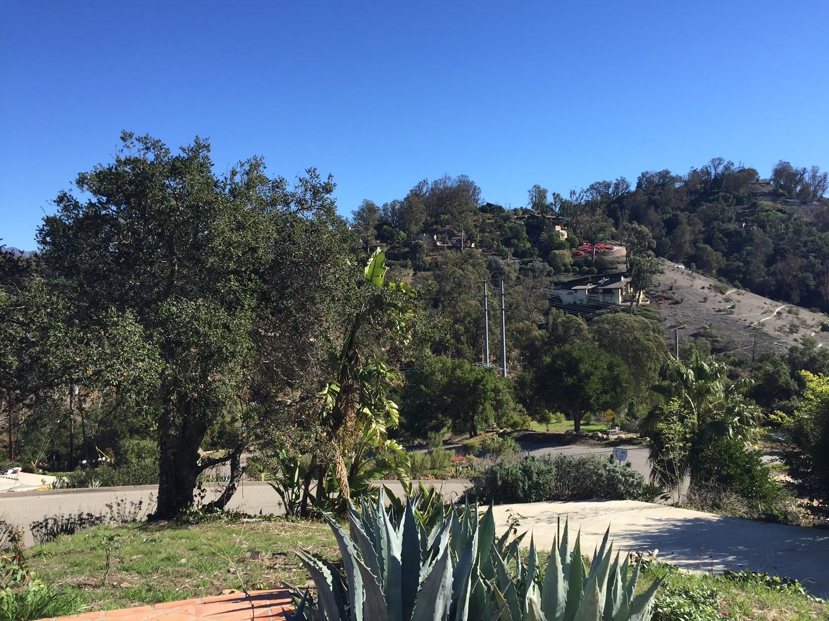 478 Conejo Road Santa Barbara, CA 93103 - Photo 1 of 4 a view of a yard with a tree