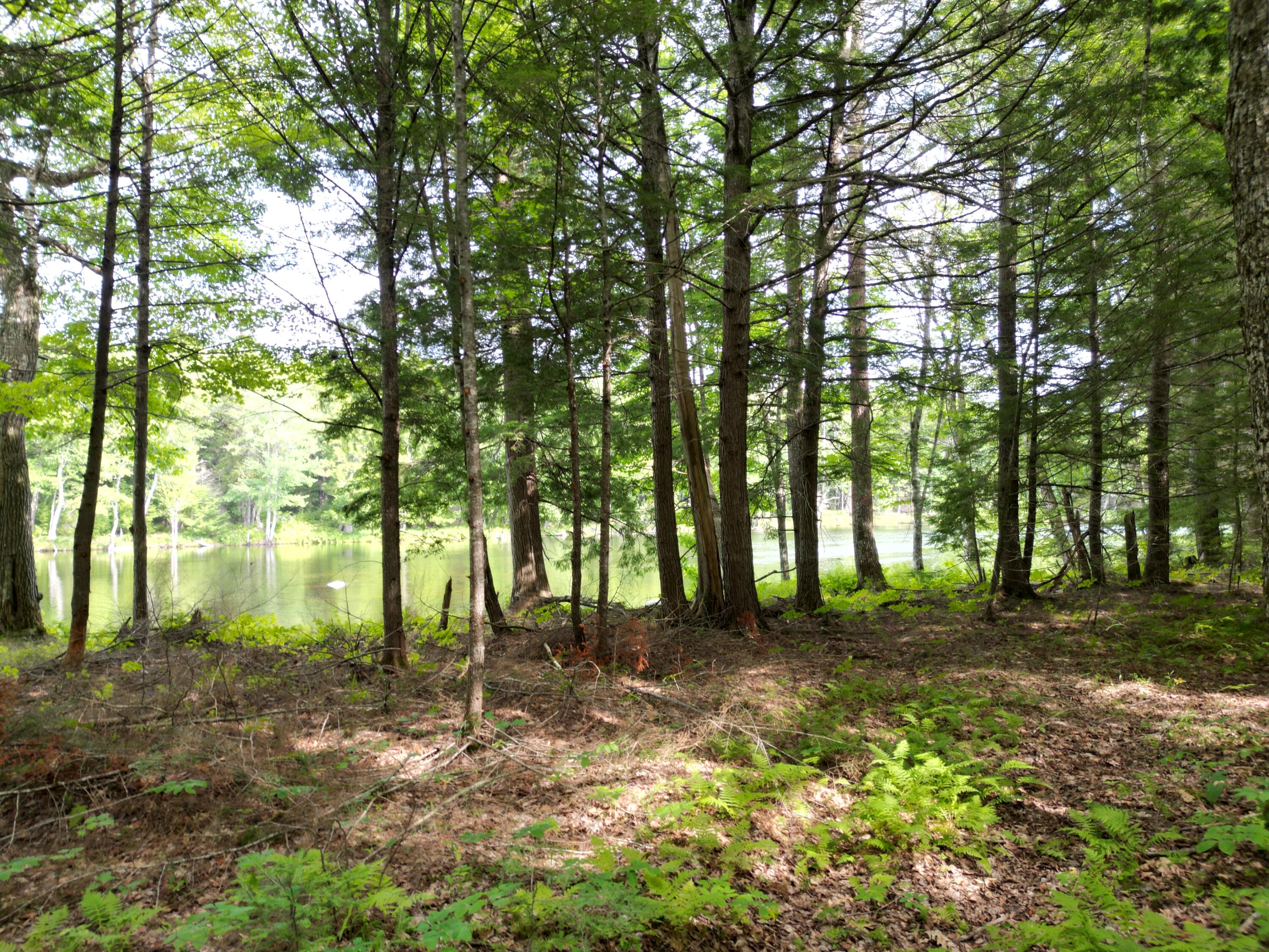 Lot 4 Off Mattamiscontis Road Howland, ME 04448 - Photo 3 of 20 DJI_0075