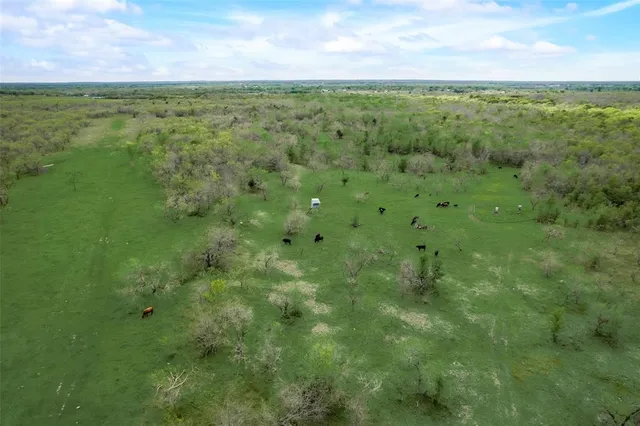 a view of a green field with lots of trees in it