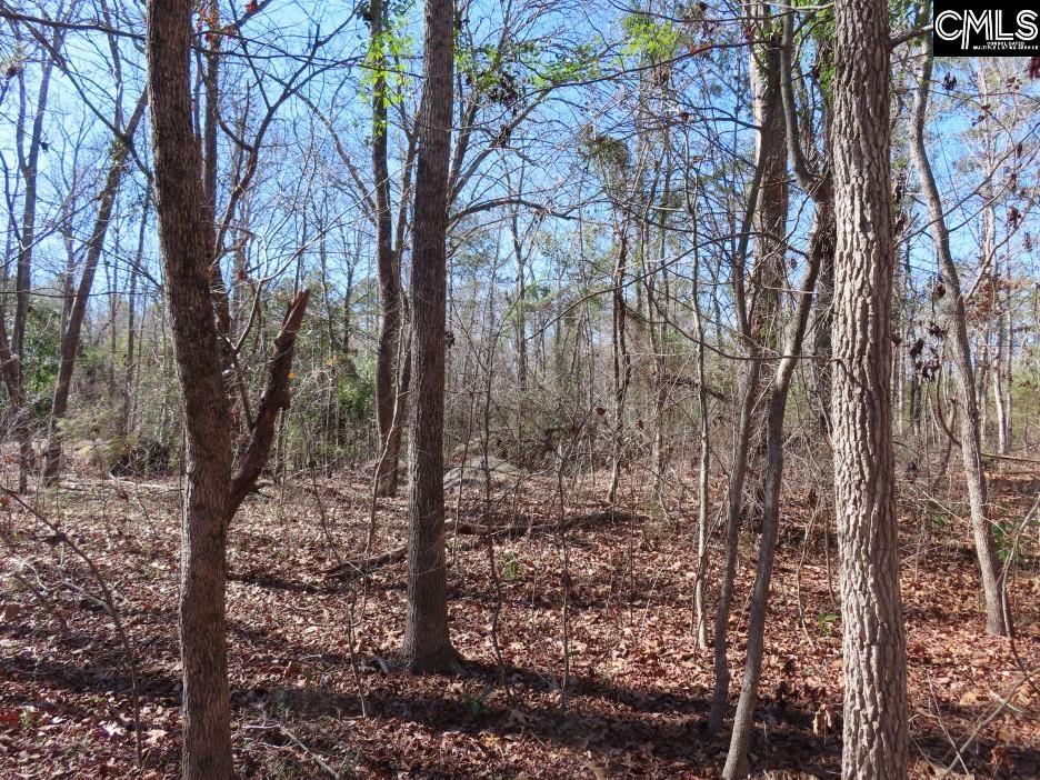 0 Rion Road Winnsboro, SC 29180 - Photo 34 of 42