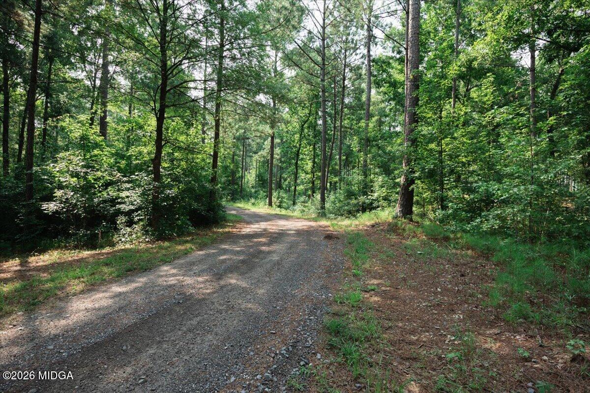 252 Rum Creek Road Juliette, GA 31046 - Photo 45 of 72 23-5W7A1587