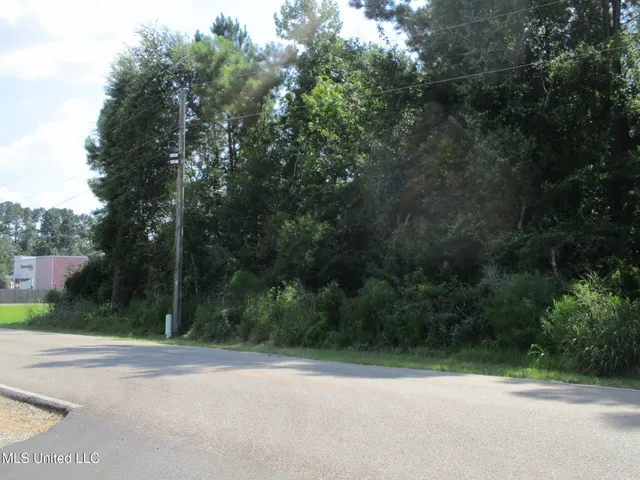 $1,950,000 | West Oak Street, Amite, LA 70422