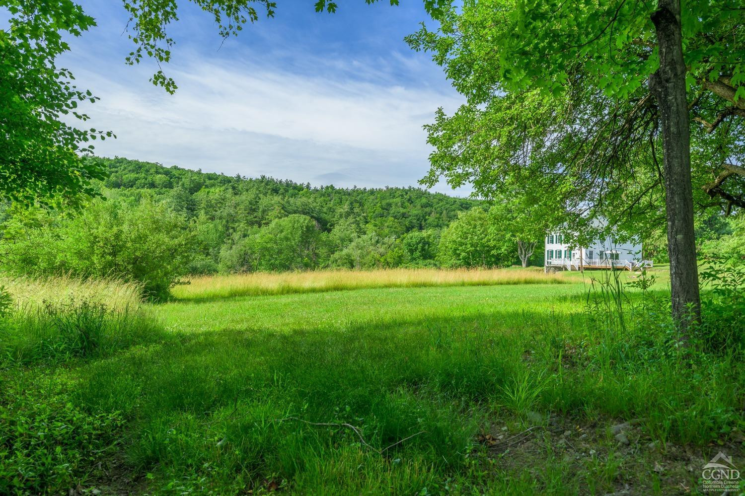 235 Slate Hill Road Ghent, NY 12037 - Photo 33 of 38 a view of yard with green space