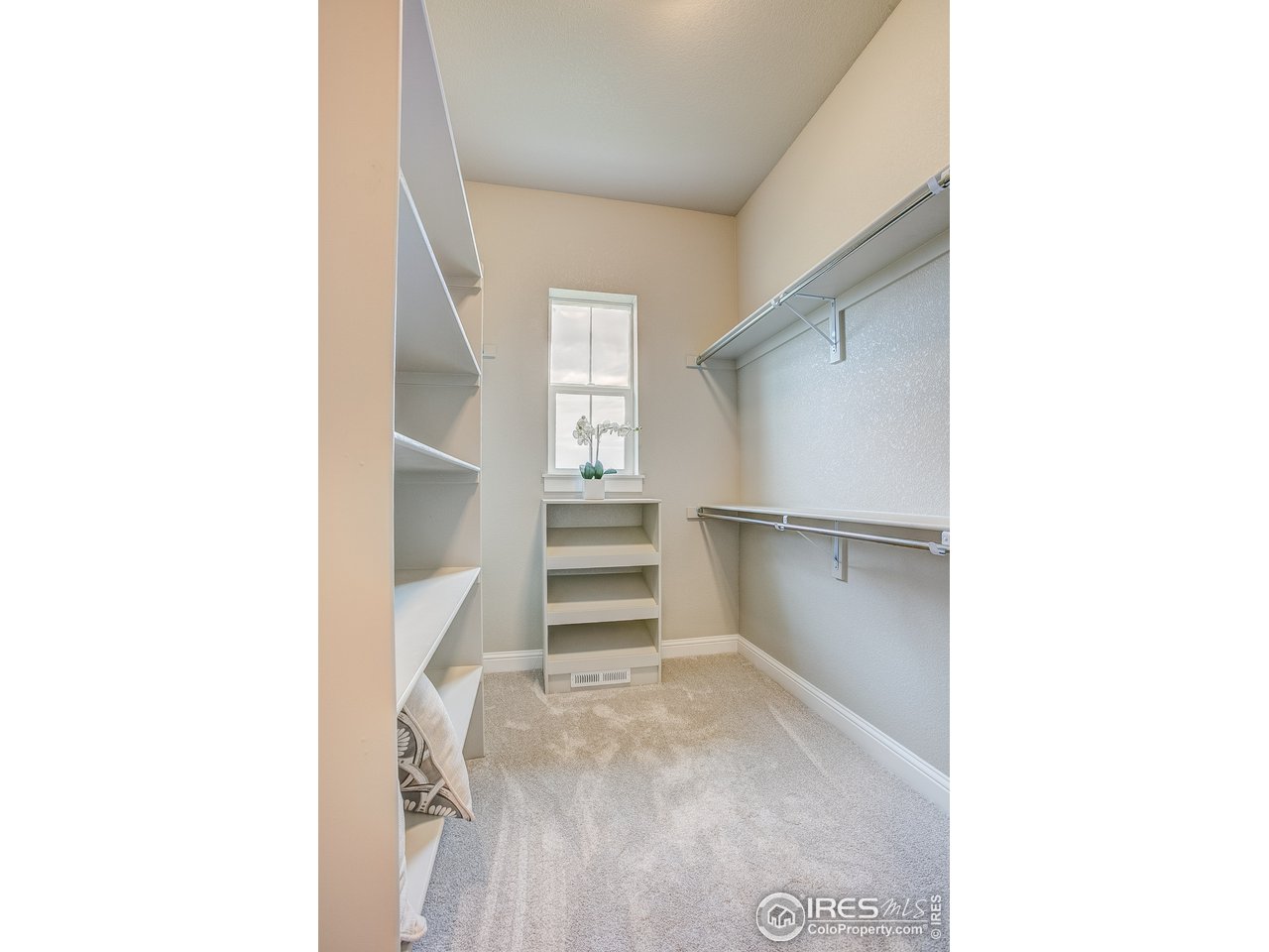 1547 Stoneseed Street Berthoud, CO 80513 - Photo 27 of 39 a view of walk in closet with empty racks