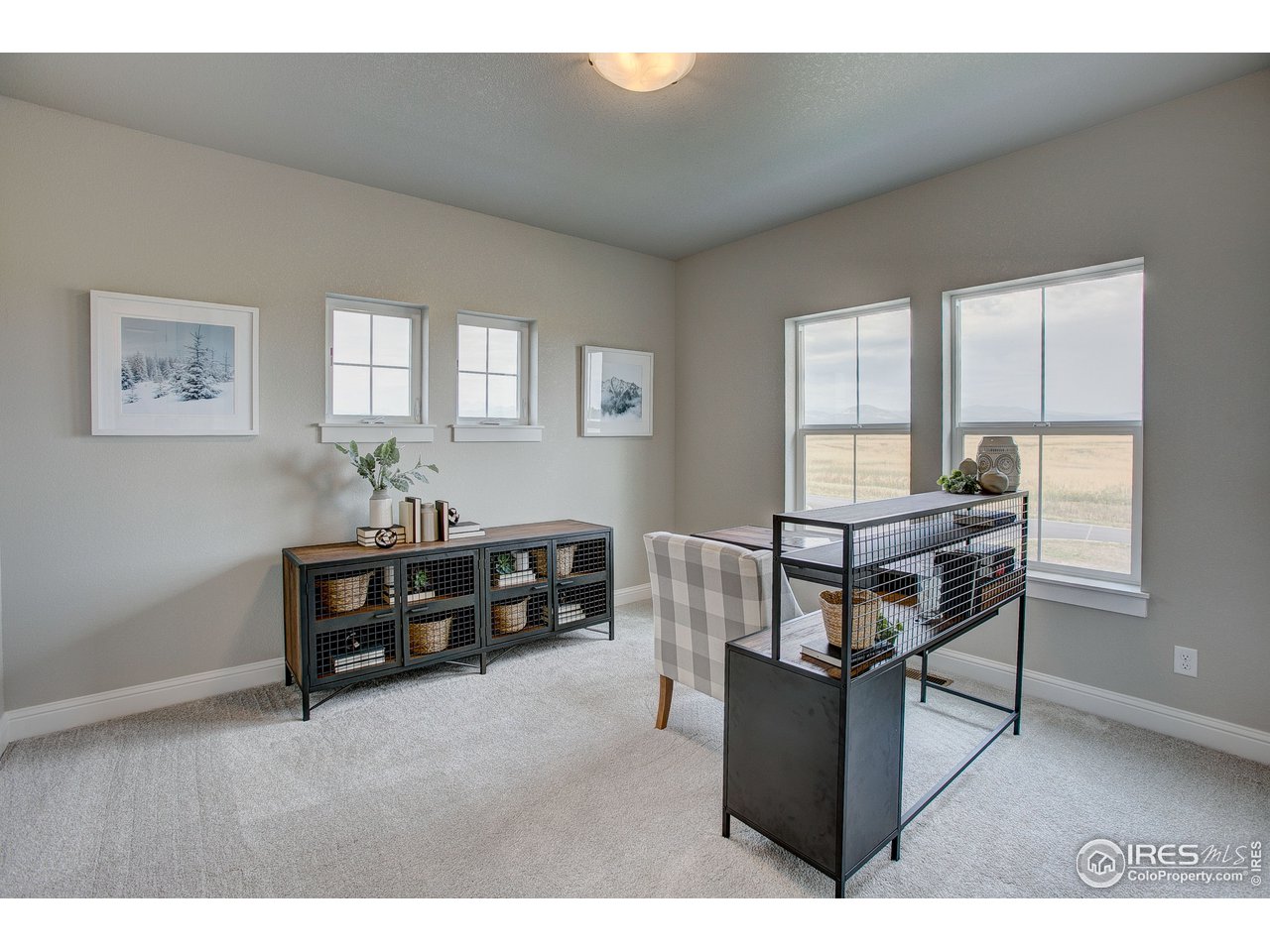 1547 Stoneseed Street Berthoud, CO 80513 - Photo 36 of 39 a living room with furniture and a wooden floor