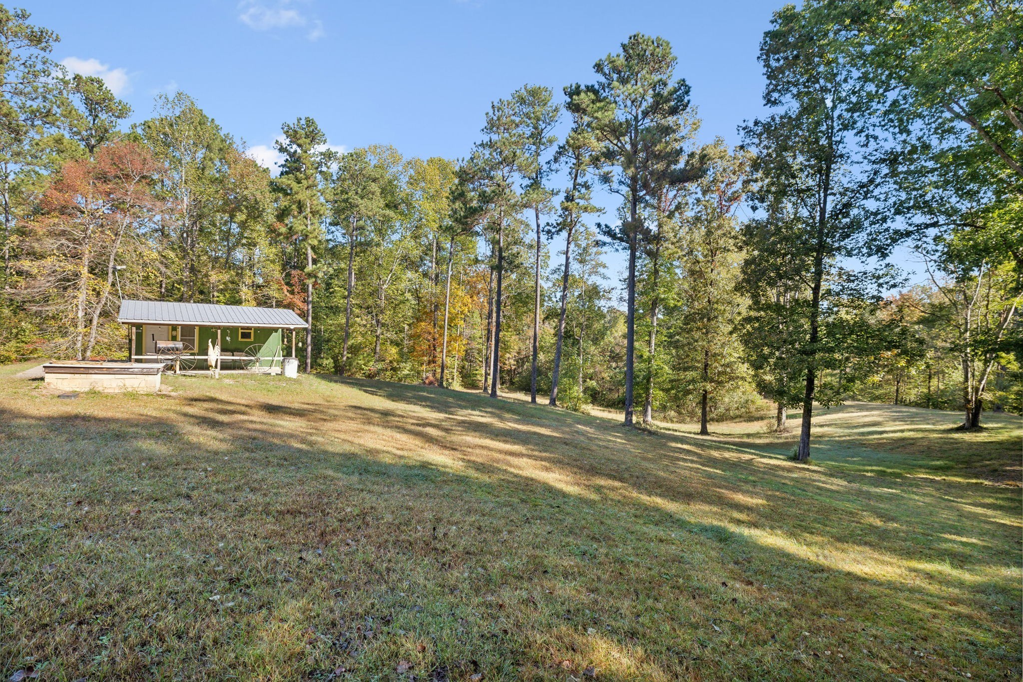 534 Whitney Branch Road Springville, TN 38256 - Photo 7 of 41 Gallery Image 7