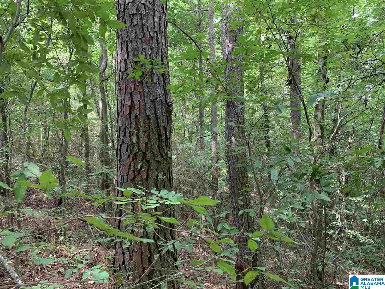 125 Running Deer Road, Unit 20 Talladega, AL 35160 - Photo 8 of 10
