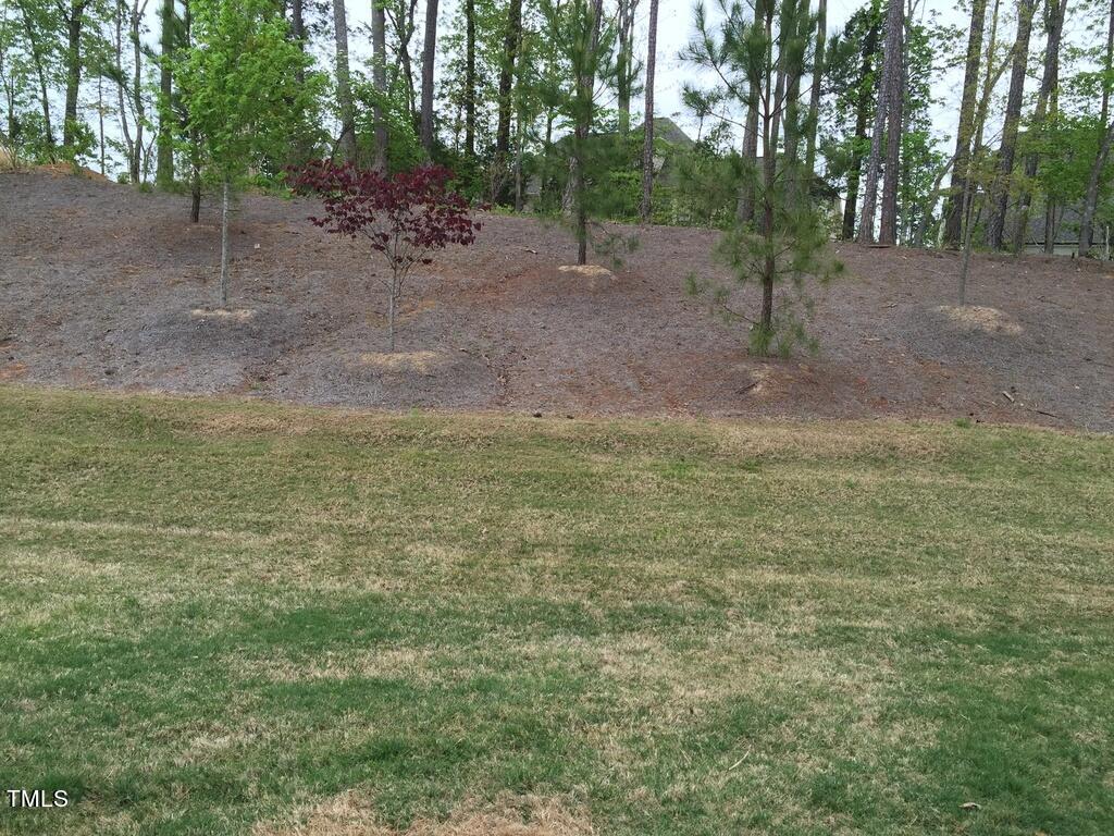 228 Skyros Loop Cary, NC 27519 - Photo 16 of 16 16 228 skros loop