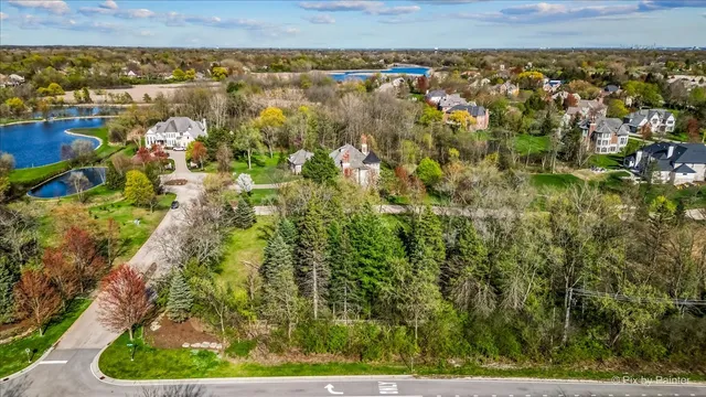 a view of a garden with plants