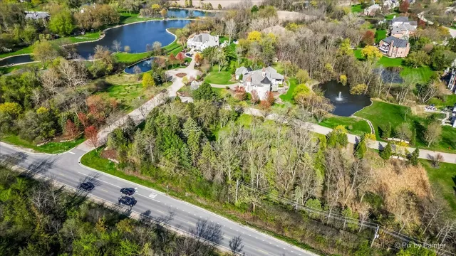 a view of a garden with plants